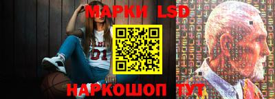 мдпв Кингисепп