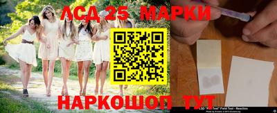 гидропоника Кимры