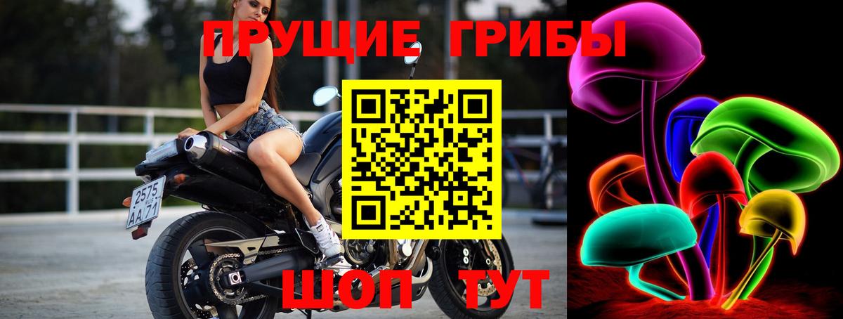 Галлюциногенные грибы прущие грибы Краснознаменск